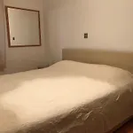 Apartament Center - Near The Central Bus Station